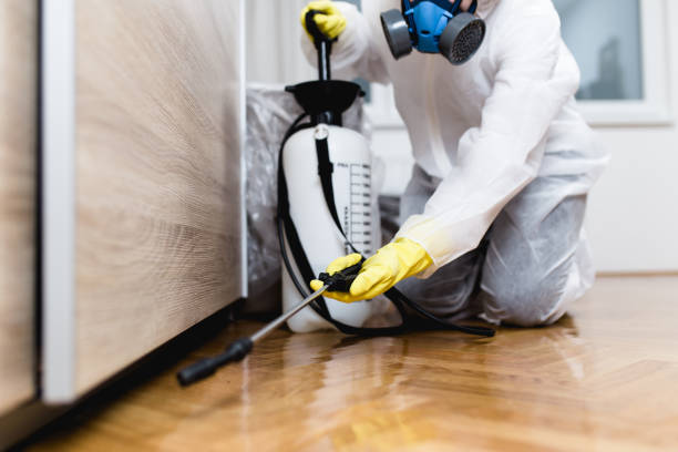 Best Local Pest Control Services  in Sultana, CA