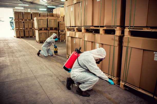 Best Cockroach Control Services  in Sultana, CA
