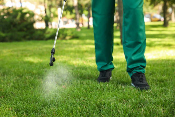 Best Pest Prevention Services  in Sultana, CA