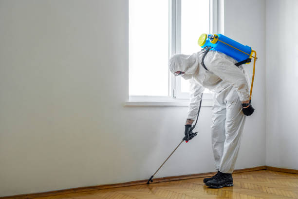 Best Pest Prevention Services  in Sultana, CA