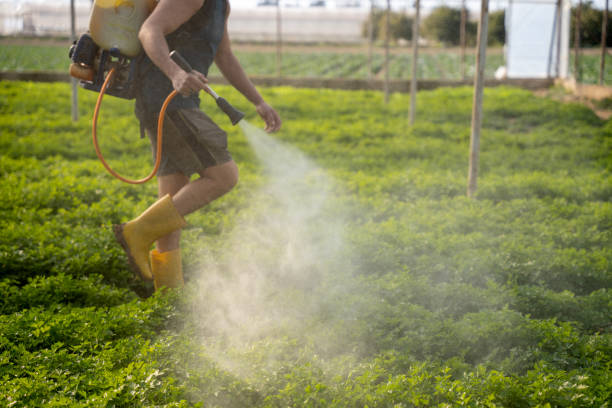 Best Pest Removal Services  in Sultana, CA