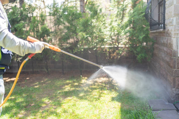 Best Wasp Removal Services  in Sultana, CA