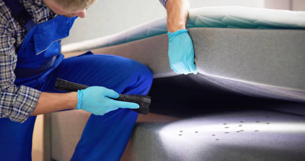 Best Pest Control Near Me  in Sultana, CA