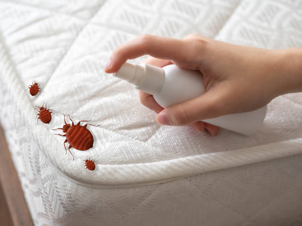 Sultana, CA Pest Control Company