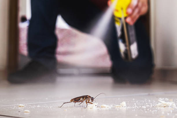 Flea Control Services in Sultana, CA