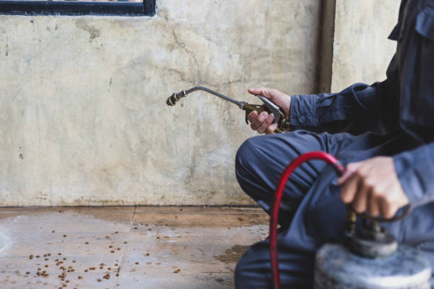 Best Wasp Removal Services  in Sultana, CA